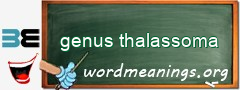 WordMeaning blackboard for genus thalassoma